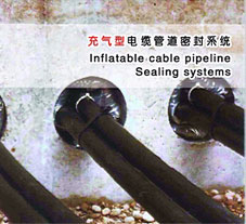 WQBZ充气型管道封堵系统在南方电网南宁供电局的招标中被采用