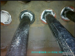 我公司充气式电缆管道封堵系统产品在武汉东风雷诺110KV新建项目