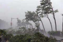 台风＂山竹＂来袭 南方电网做了什么